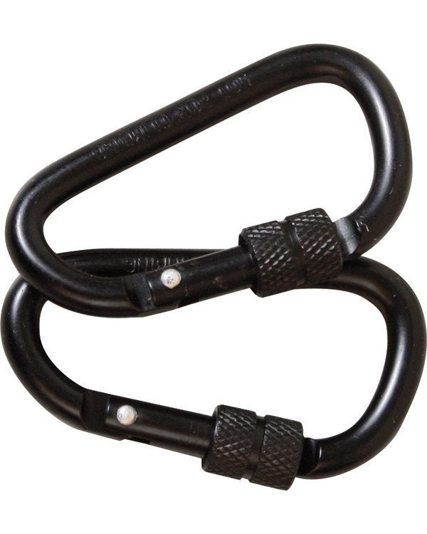 Locking Carabiner Pair